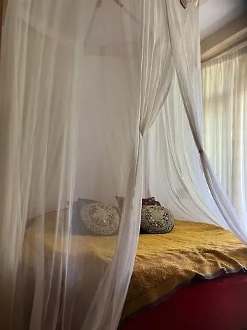 Bohemian Loft Bed & Breakfast Amsterdam